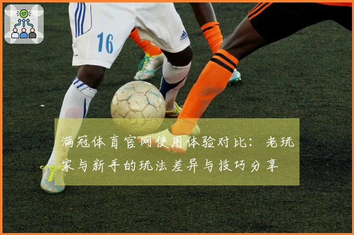 满冠体育官网使用体验对比：老玩家与新手的玩法差异与技巧分享