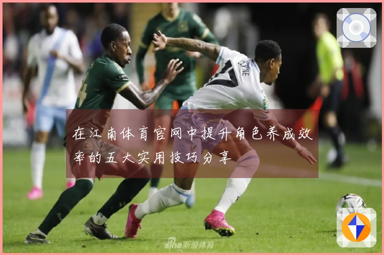 在江南体育官网中提升角色养成效率的五大实用技巧分享