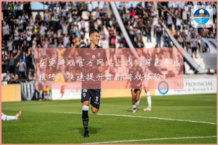 在爱游戏官方网站上找到角色养成技巧，快速提升你的游戏体验！